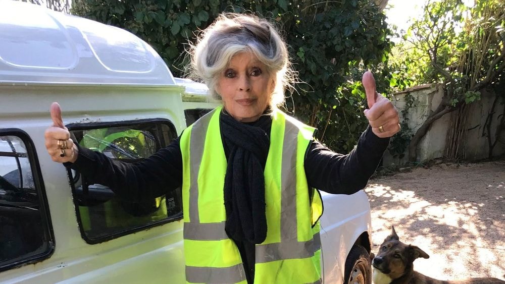 Résolue, Brigitte Bardot accepte une peine de prison : "Puisque je suis complice"