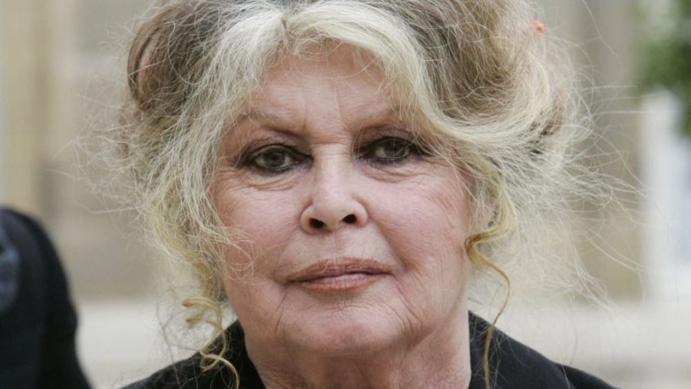 Mort de Brigitte Bardot : retour sur l'incroyable carrière de l'actrice
