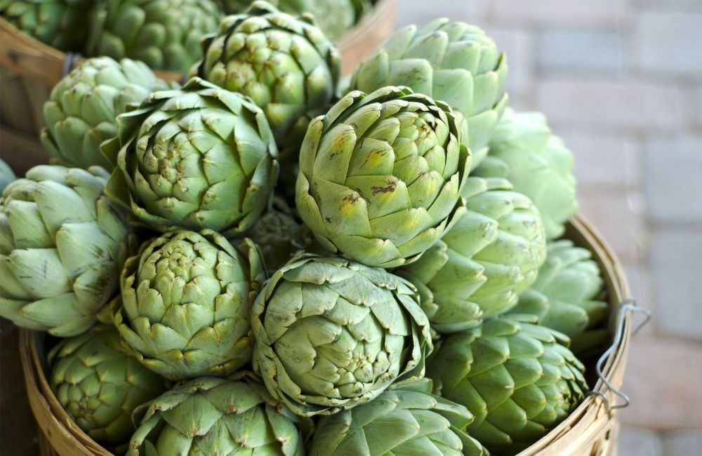Les artichauts, aussi décoratifs que savoureux