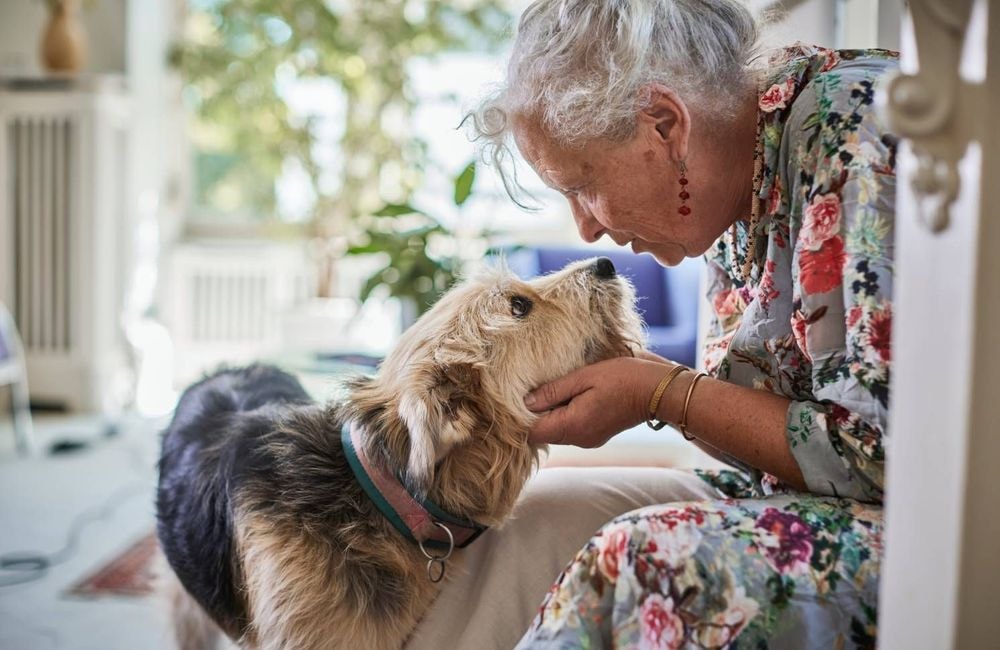 Pourquoi avoir un chien ou un chat est une excellente chose pour votre santé ?