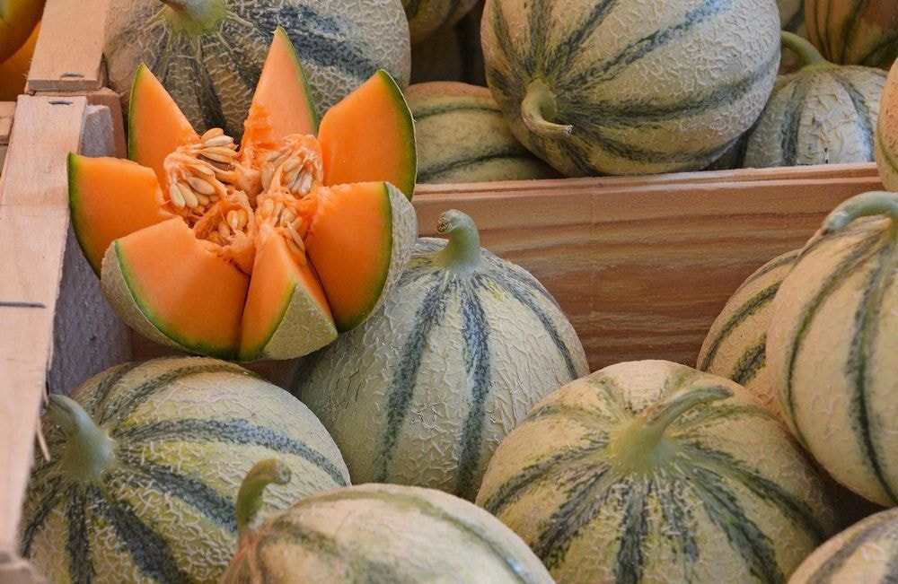 Comment bien choisir son melon