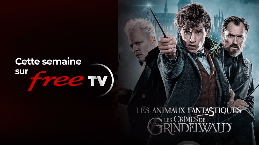 Programme Free TV : du 16 au 22 février 2026 – Les Animaux Fantastiques, La Guerre de Poutine et Forrest Gump