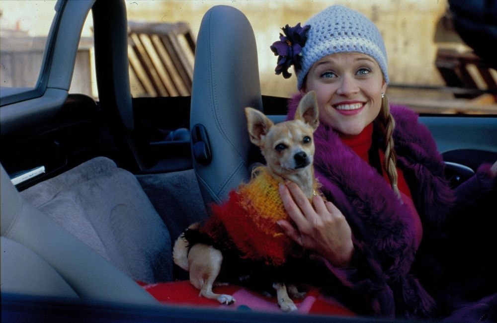 « La Revanche d’une blonde » : Reese Witherspoon va adapter le film culte en série