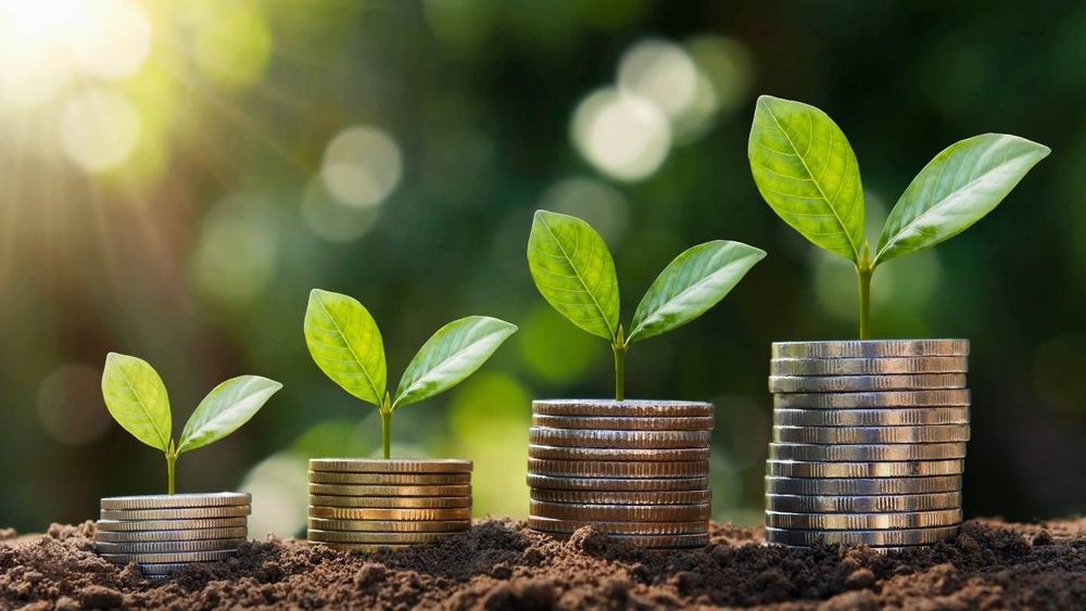Banque en ligne : quel est le compte bancaire le plus « vert » de France ?