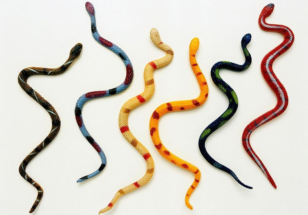Rêver de serpent : notre interprétation