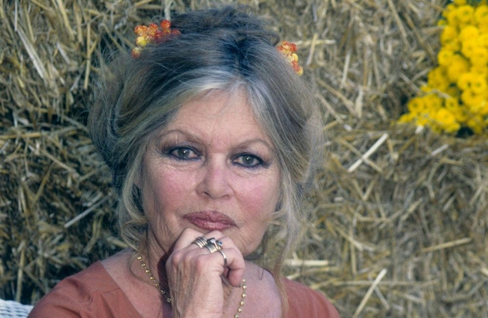 Brigitte Bardot : sa fondation tire la sonnette d’alarme sur la vague d’escroqueries en ligne