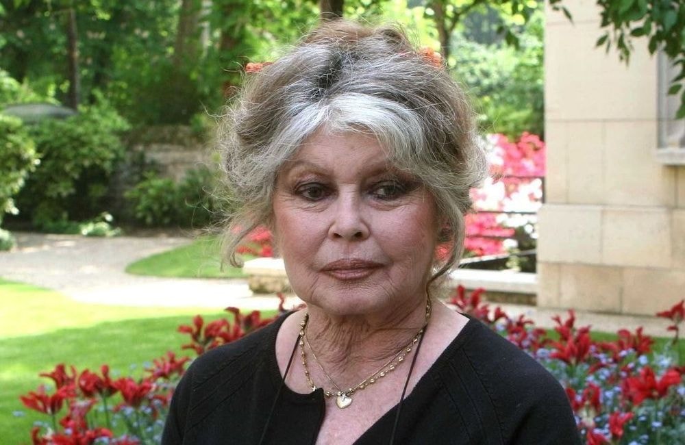 Brigitte Bardot de nouveau hospitalisée à Toulon, son état de santé inquiète