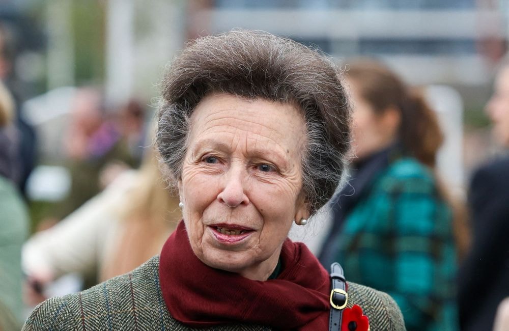 « Chaque jour est un bonus » : la princesse Anne revient sur son accident survenu il y a six mois