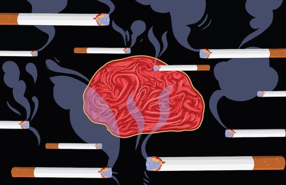 Alzheimer, apprentissage, souvenirs : quels sont les effets du tabac sur la mémoire ?