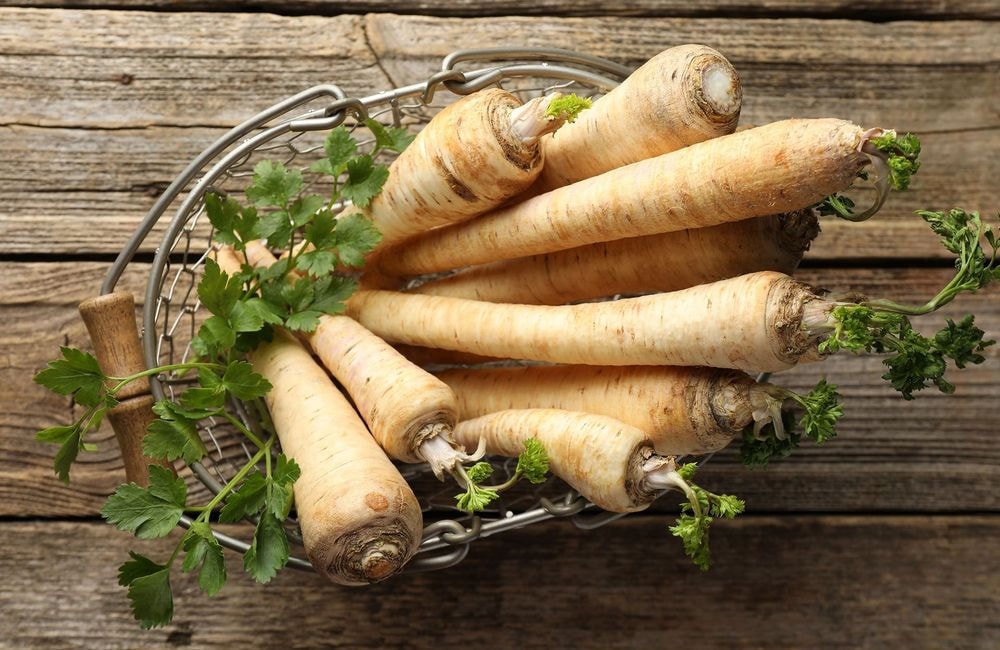 Comment avoir de beaux panais au potager ?