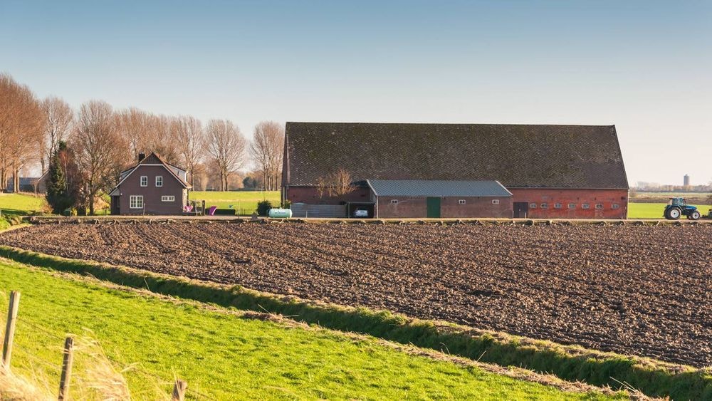 Placement : ces départements où le foncier agricole rapporte toujours plus que le Livret A