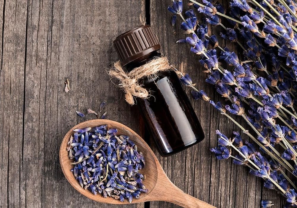 3 astuces écolos pour neutraliser les mauvaises odeurs