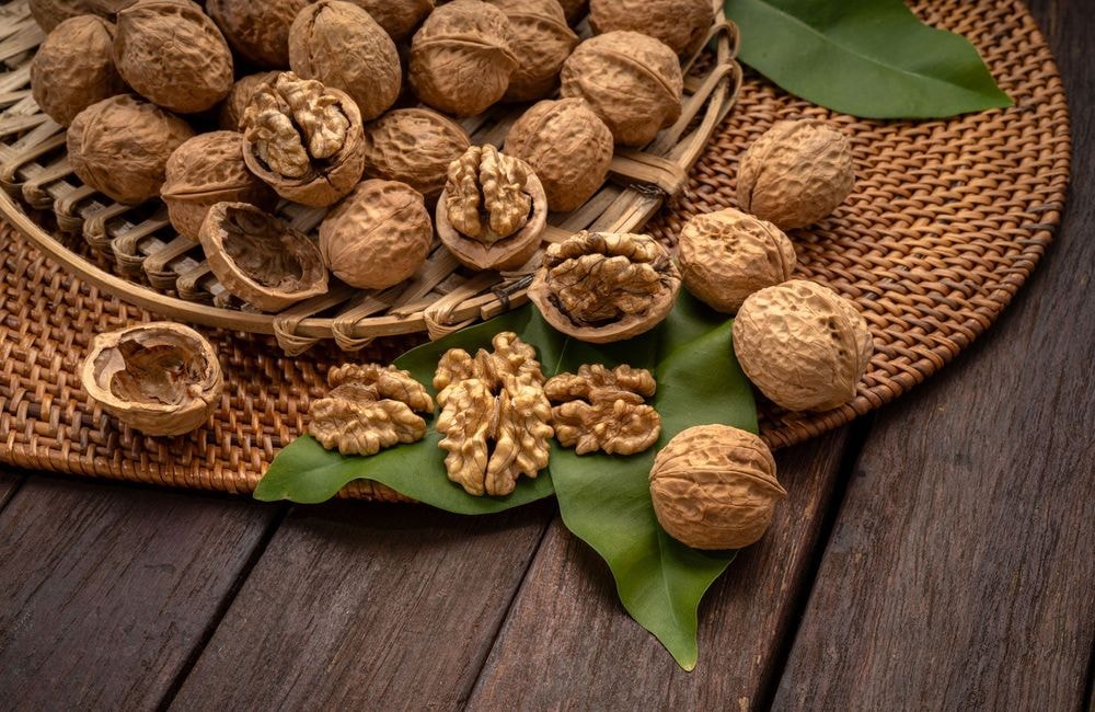 Comment récolter de belles noix ?