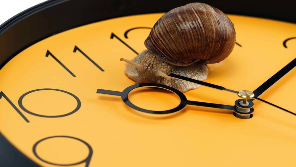 Impôts 2024 : voici le jour du dernier délai pour modifier votre déclaration après la date limite