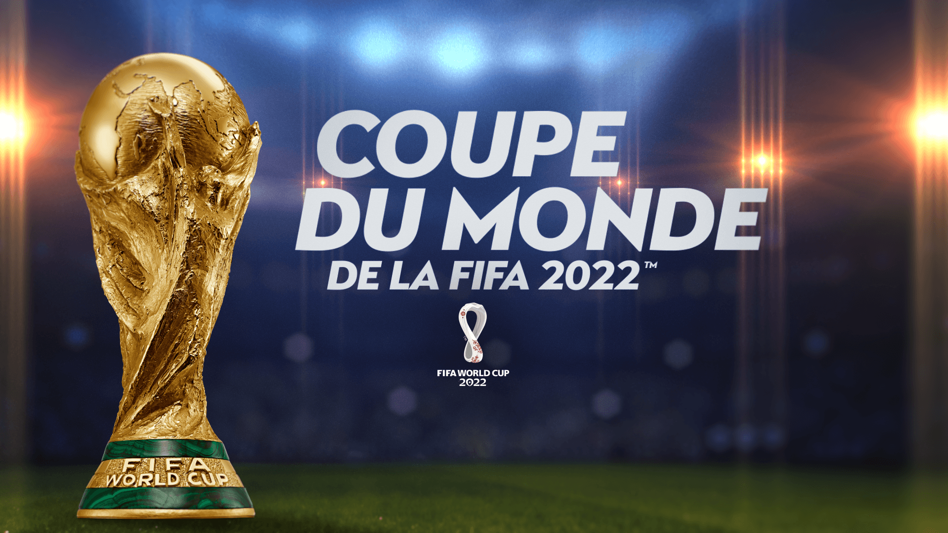 Suivez les 28 plus belles affiches de la Coupe du Monde de la FIFA, Qatar 2022, en 4K sur TF1