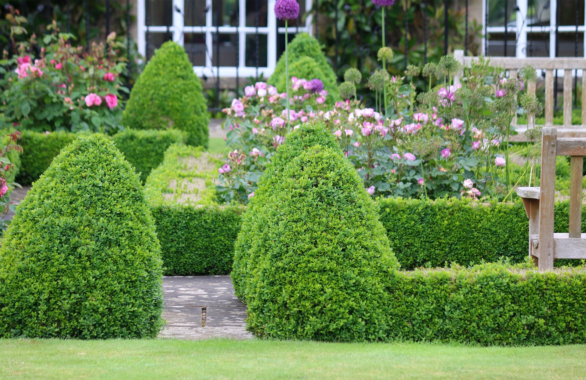 Comment remplacer le buis au jardin ?