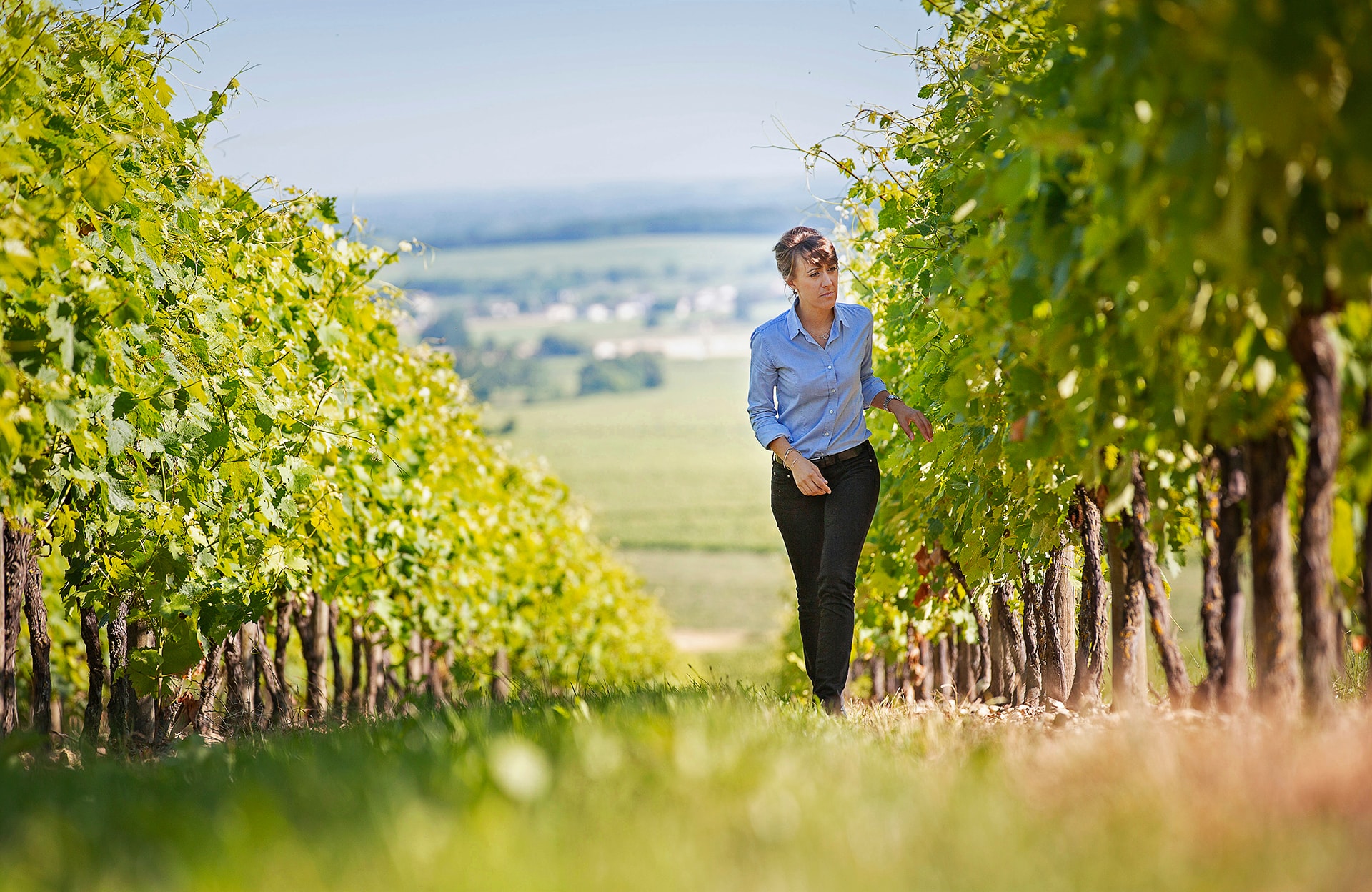 Elles font le vin : Mathilde Boisseau, directrice vigne et vin de la Maison Hennessy