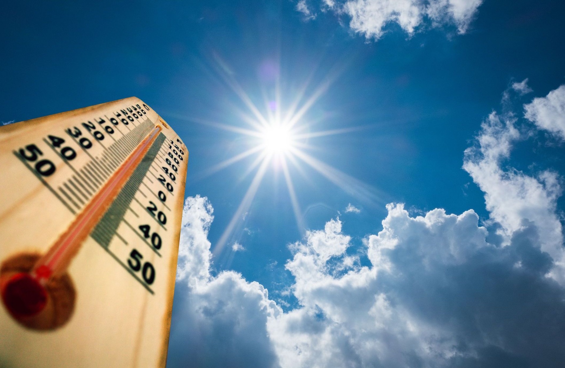 Canicule : au moins 60 morts supplémentaires début septembre, selon Santé publique France