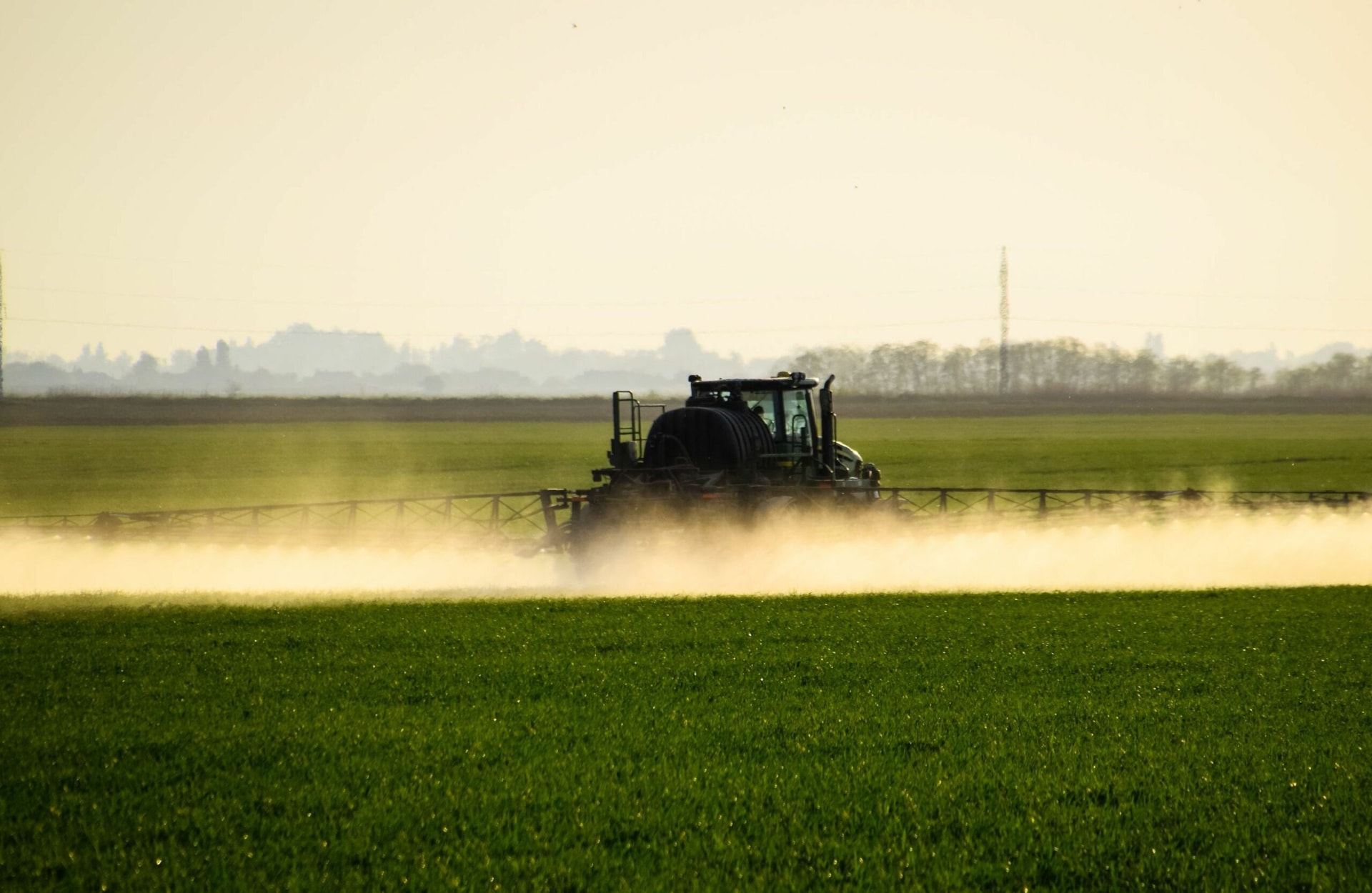 Glyphosate : pour la première fois, un lien entre malformations et exposition prénatale est reconnu