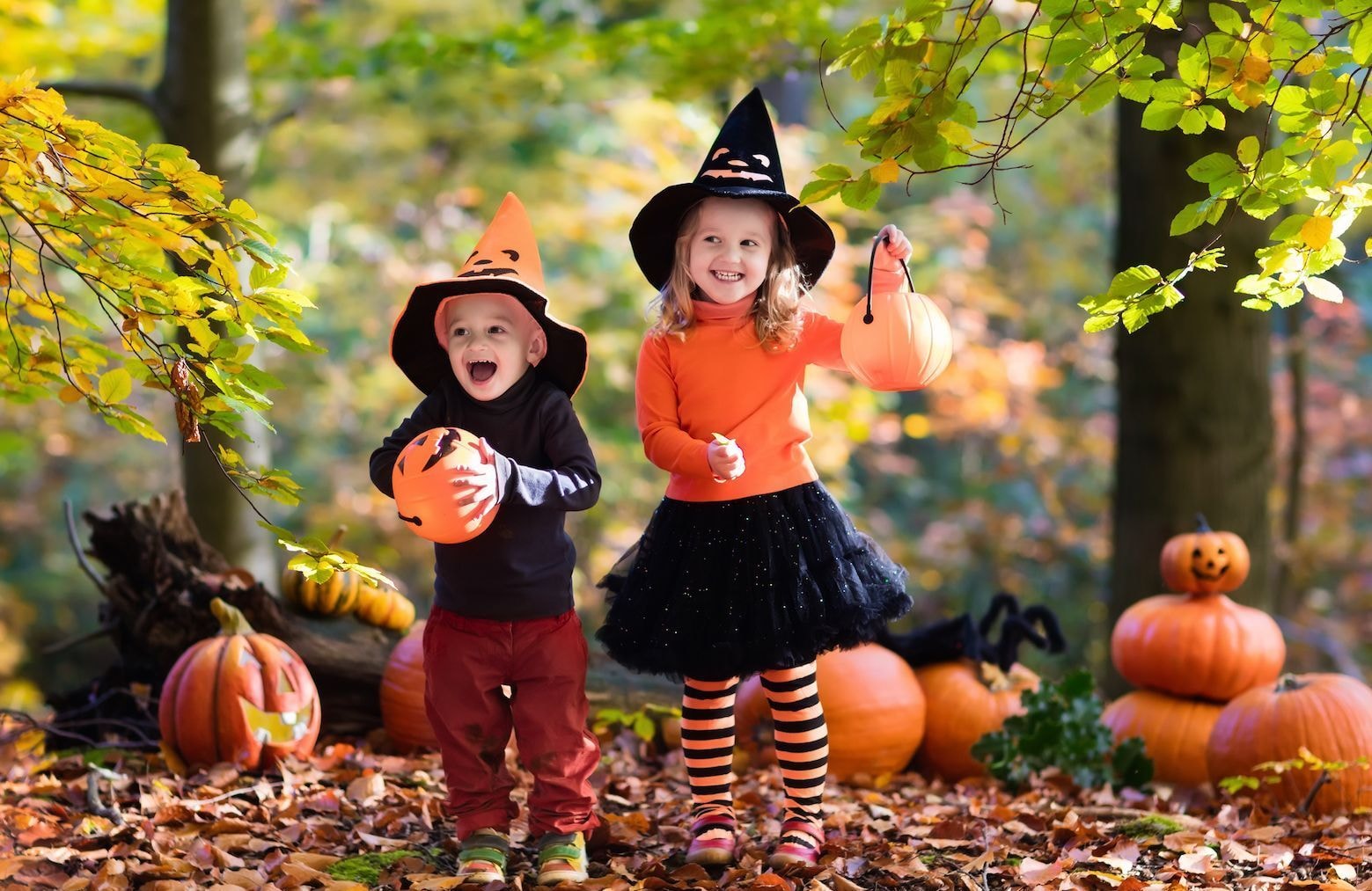 Pourquoi distribue-t-on des bonbons à Halloween ?