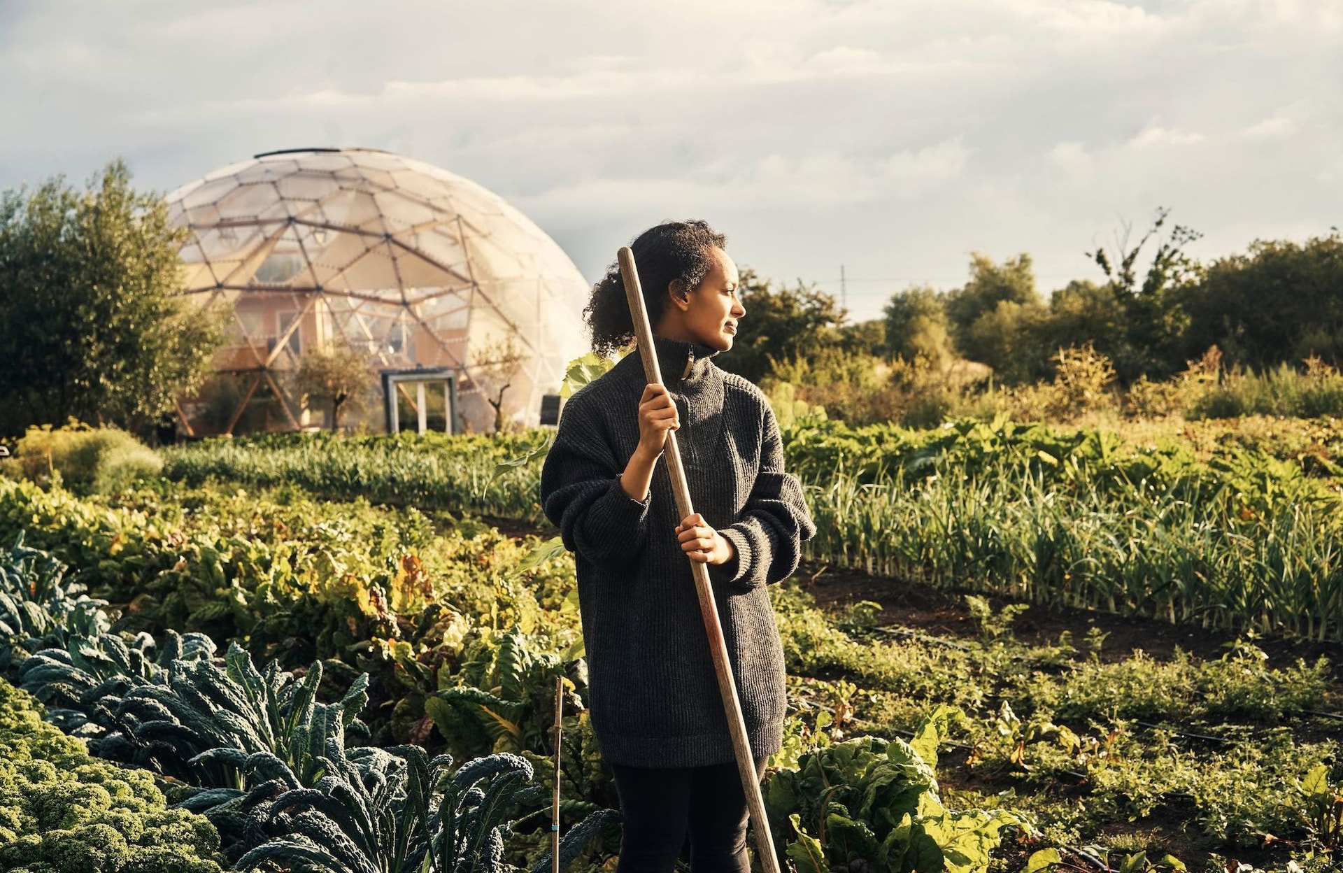 Que faire au jardin en décembre ?