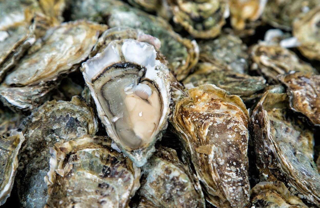 Nouvel an 2024 : après des intoxications, les huîtres du bassin d’Arcachon interdites
