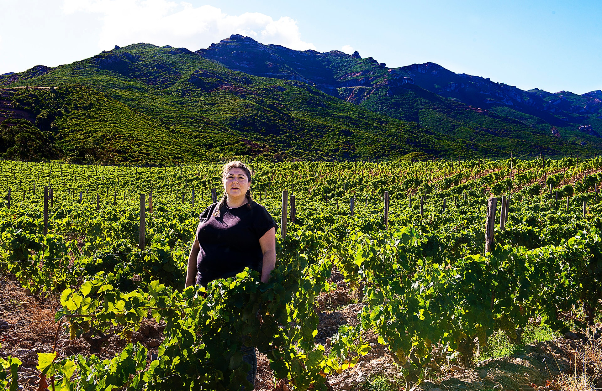 Elles font le vin : Marie-Françoise Devichi, lauréate du Prix des Artisanes