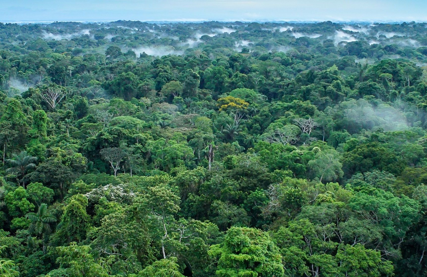Malgré un climat catastrophique en 2023, 7 nouvelles qui donnent de l’espoir pour la planète